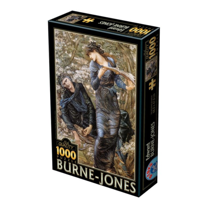 DToys "Edward Burne-Jones: The Beguiling of Merlin"-  Puzzle 1000 κομμάτια