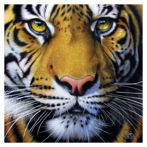 SunsOut: "Jurek : Golden Tiger Face" -  Puzzle 1,000 κομμάτια