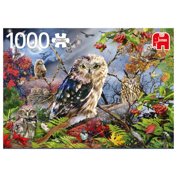 Owls in the Moonlight – παζλ 1000 κομματιών Falcon Jumbo με κουκουβάγιες