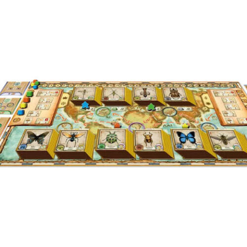 Insecta: The Ladies of Entomology